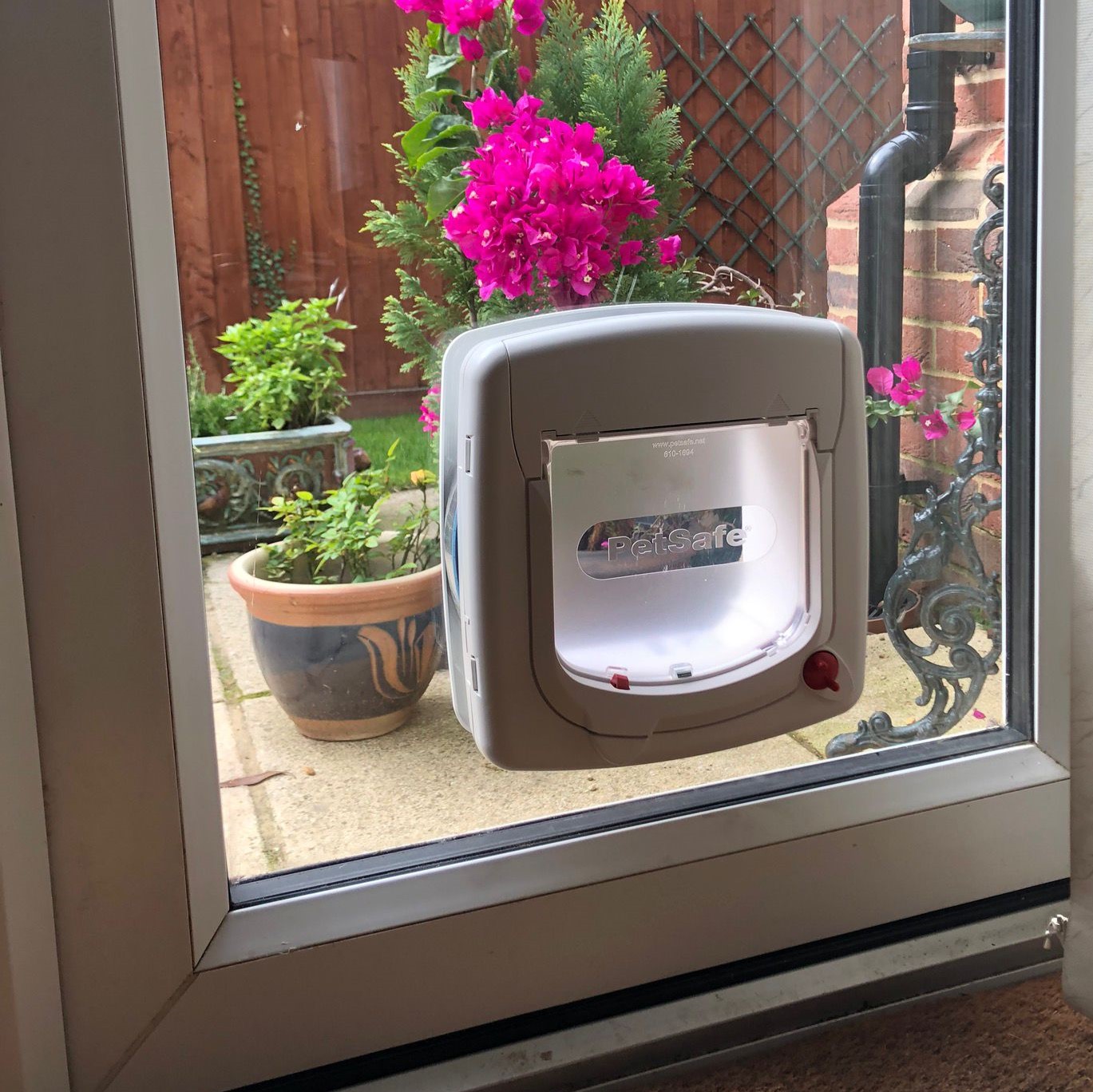 4 way cat flap in DGU